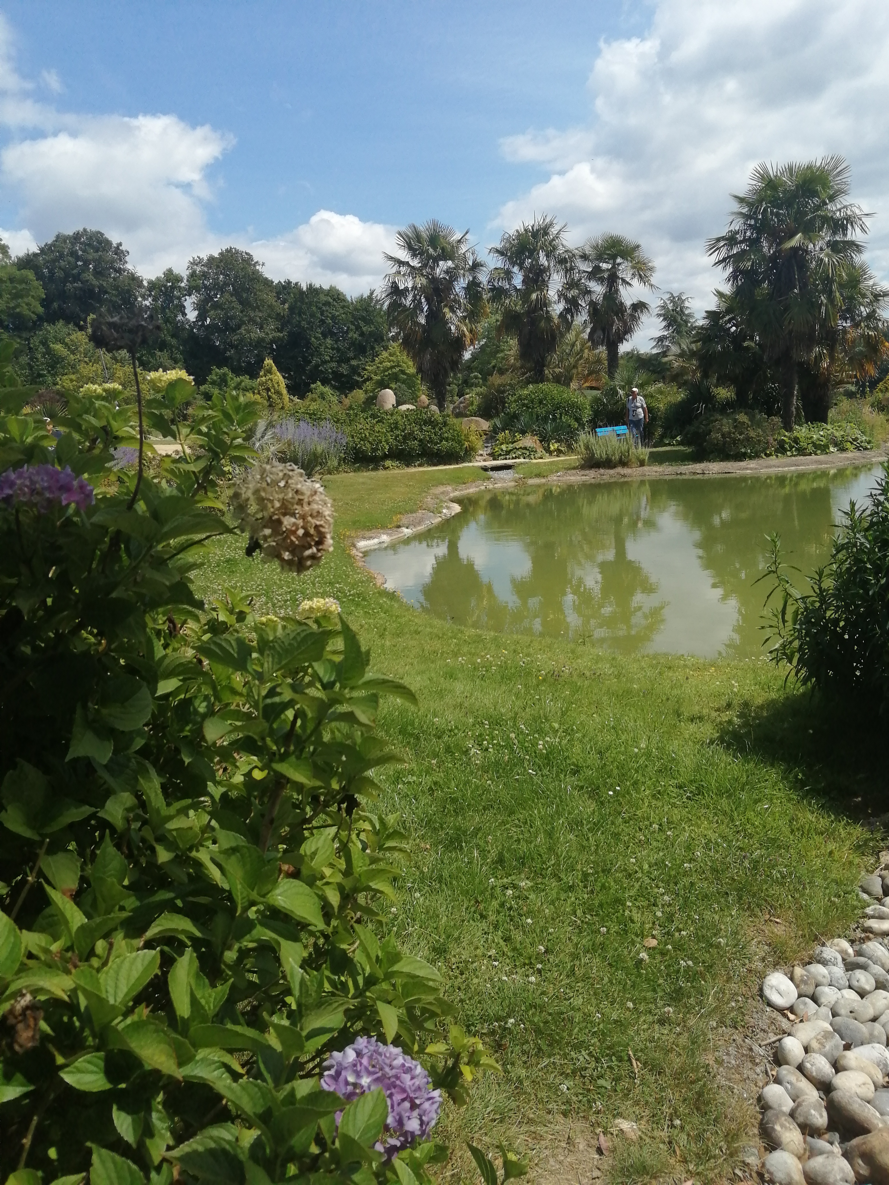 Photo n° 2 de l'avis de Célia. fait le 06/07/2022 à 14:07