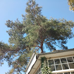 Photo n°1 de l'avis de Peter.a fait le 20/04/2022 à 06:15 sur le  Preetzer Cafestuben à Preetz