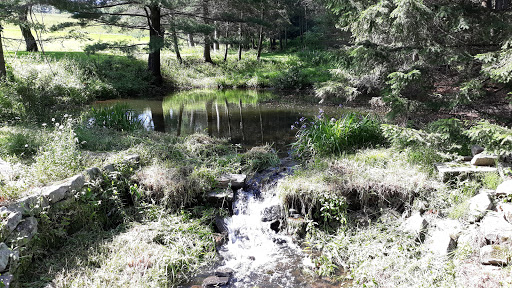 Museum «Dorflinger Glass Museum», reviews and photos, 37 Suydam Dr, White Mills, PA 18473, USA