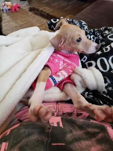 Pet Store «Fetch Pet Store», reviews and photos, 2700 Miamisburg Centerville Rd, Dayton, OH 45459, USA