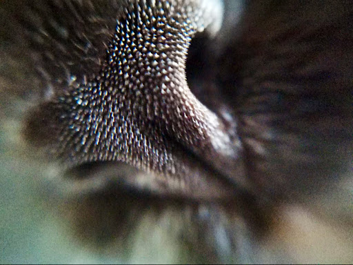 Tierarztpraxis Ruff unter Eitting, Bayern