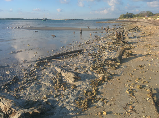 Park «Historic Virginia Key Beach Park», reviews and photos, 4020 Virginia Beach Dr, Miami, FL 33149, USA