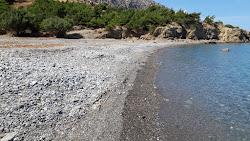 Vananta beach'in fotoğrafı #43 ile birlikte