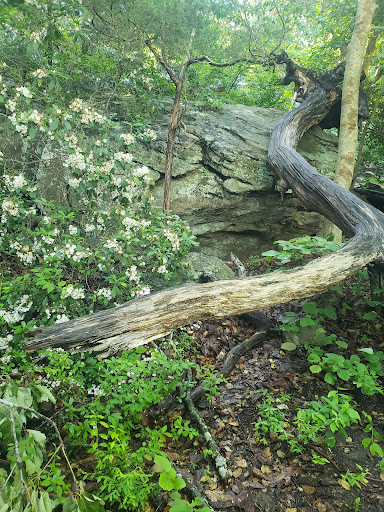 Park «Government Island», reviews and photos, 191 Coal Landing Road, Stafford, VA 22554, USA