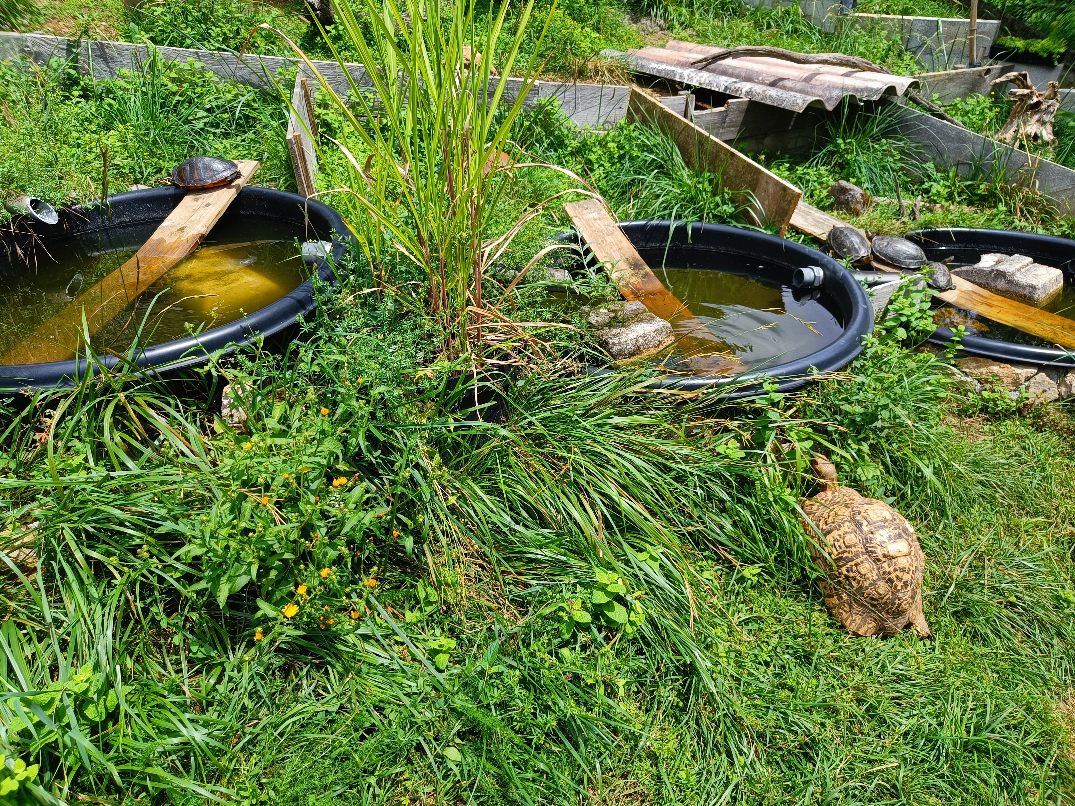 Photo n° 1 de l'avis de Kris.e fait le 16/07/2023 à 15:36