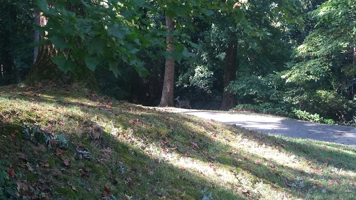 Golf Course «Cross Creek Golf Club», reviews and photos, 1221 Cross Creek Pkwy NW, Atlanta, GA 30327, USA