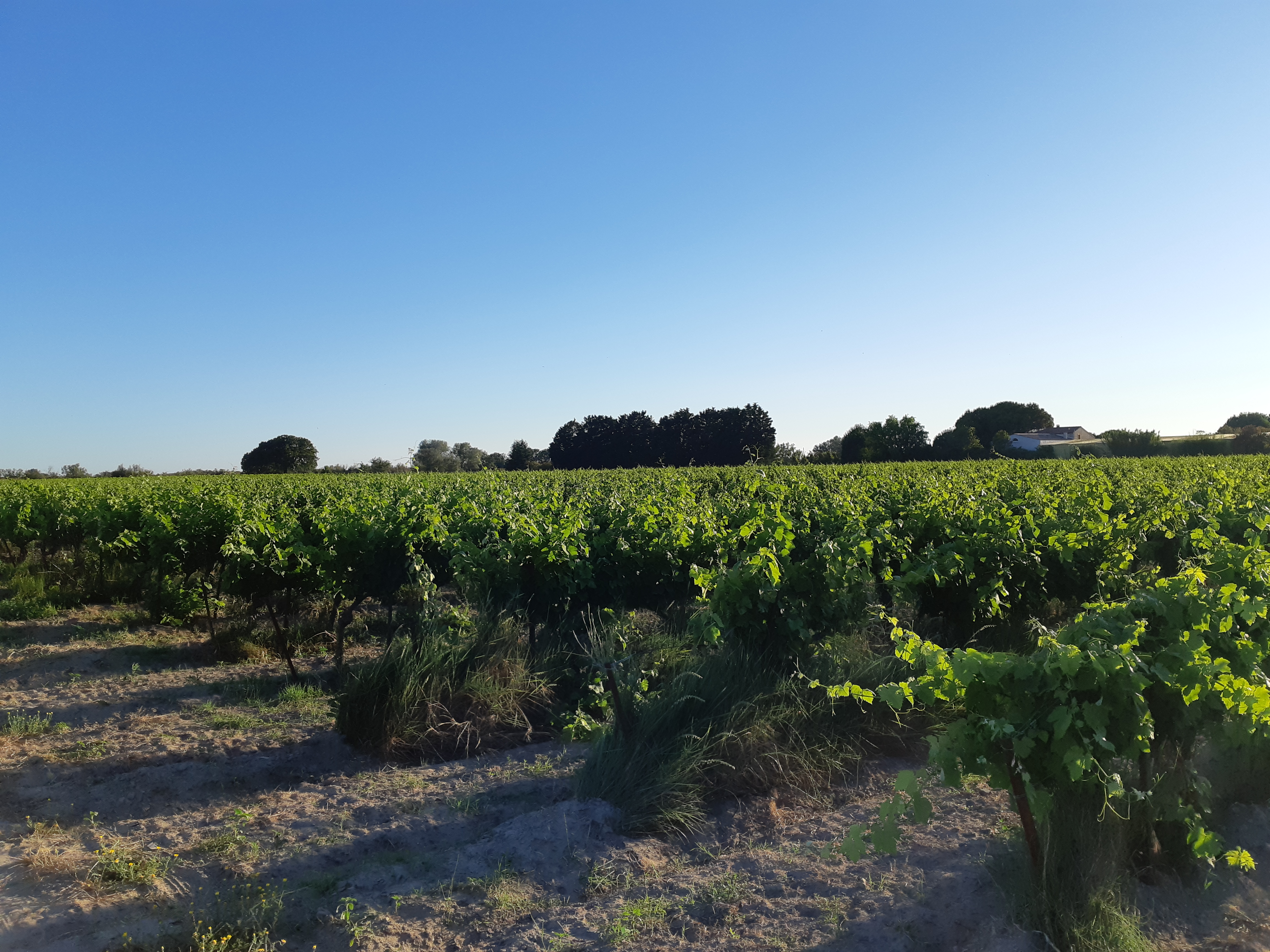 Photo n° 2 de l'avis de Nico.c fait le 17/06/2019 à 18:17