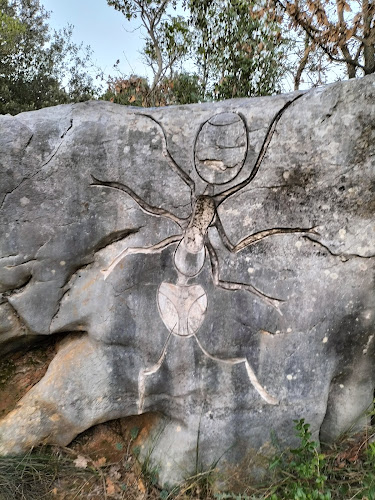 Carrière aux Fourmis à Le Revest-les-Eaux