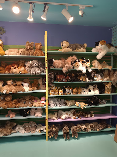 Toy Store «Terra Toys», reviews and photos, 2438 W Anderson Ln, Austin, TX 78757, USA