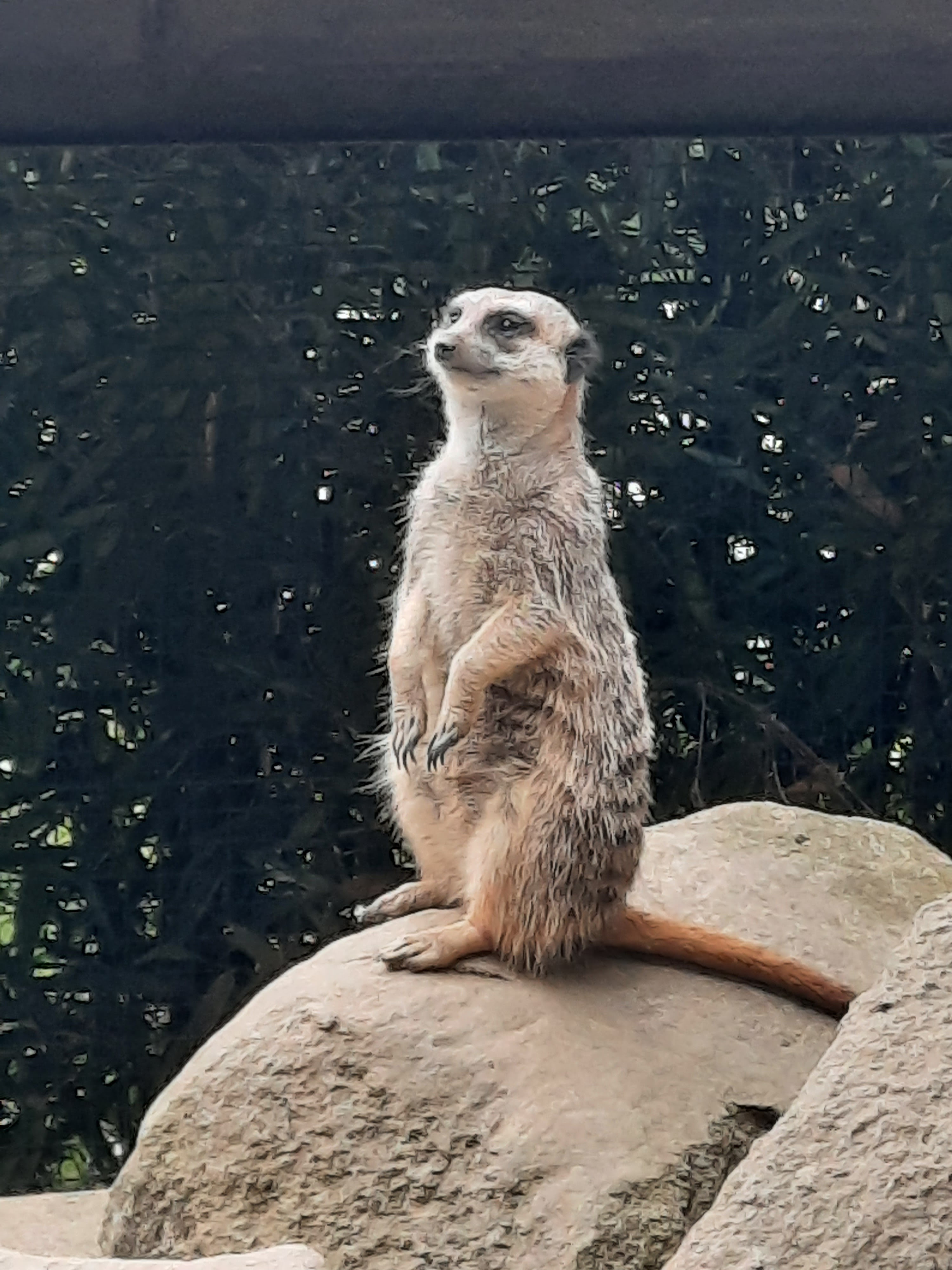 Photo n° 1 de l'avis de Patrice.e fait le 24/08/2021 à 15:58