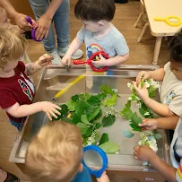 Everbrook Academy of St. Charles - Car repair in St. Charles, IL, Elgin - Rated 4.2/5