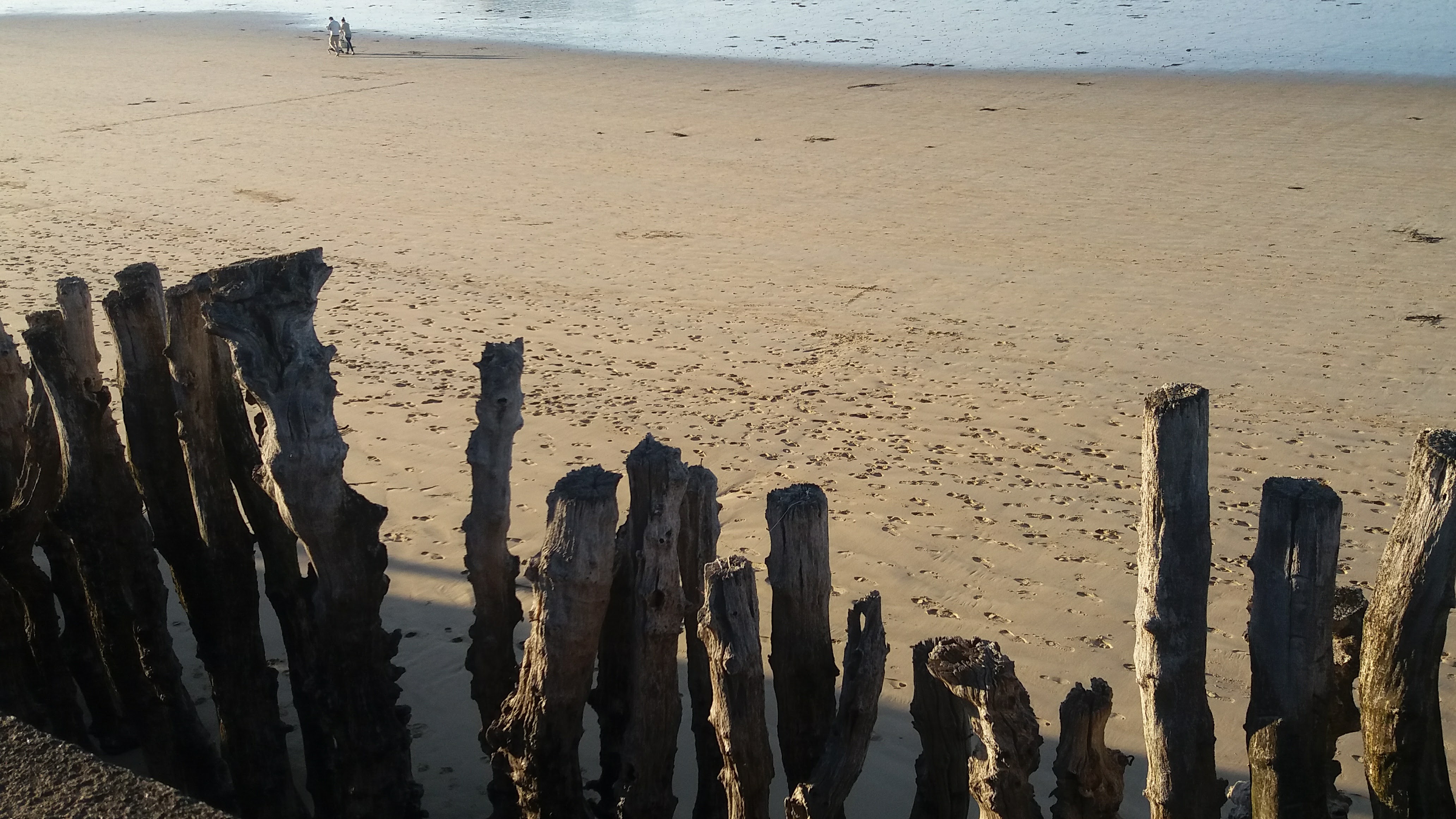 Photo n° 1 de l'avis de Alain.h fait le 04/10/2016 à 05:25