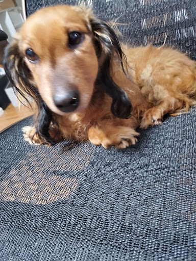 125 Mayo Rd, Edgewater, MD 21037, USA