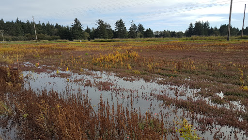 Museum «Cranberry Museum», reviews and photos, 2907 Pioneer Rd, Long Beach, WA 98631, USA