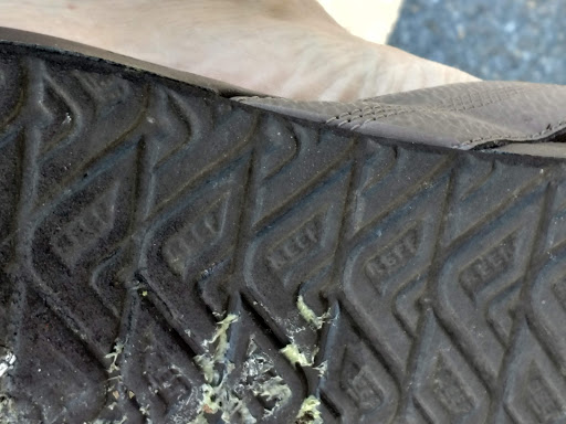 Discount Store «Walmart», reviews and photos, 8155 Elliott Rd, Easton, MD 21601, USA