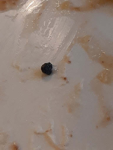 American Restaurant «Cracker Barrel Old Country Store», reviews and photos, 675 Buford Hwy, Cumming, GA 30040, USA