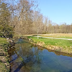 Photo n° 3 de l'avis de pierrette.h fait le 04/04/2021 à 16:24 pour Domaine départemental de Méréville à Le Mérévillois