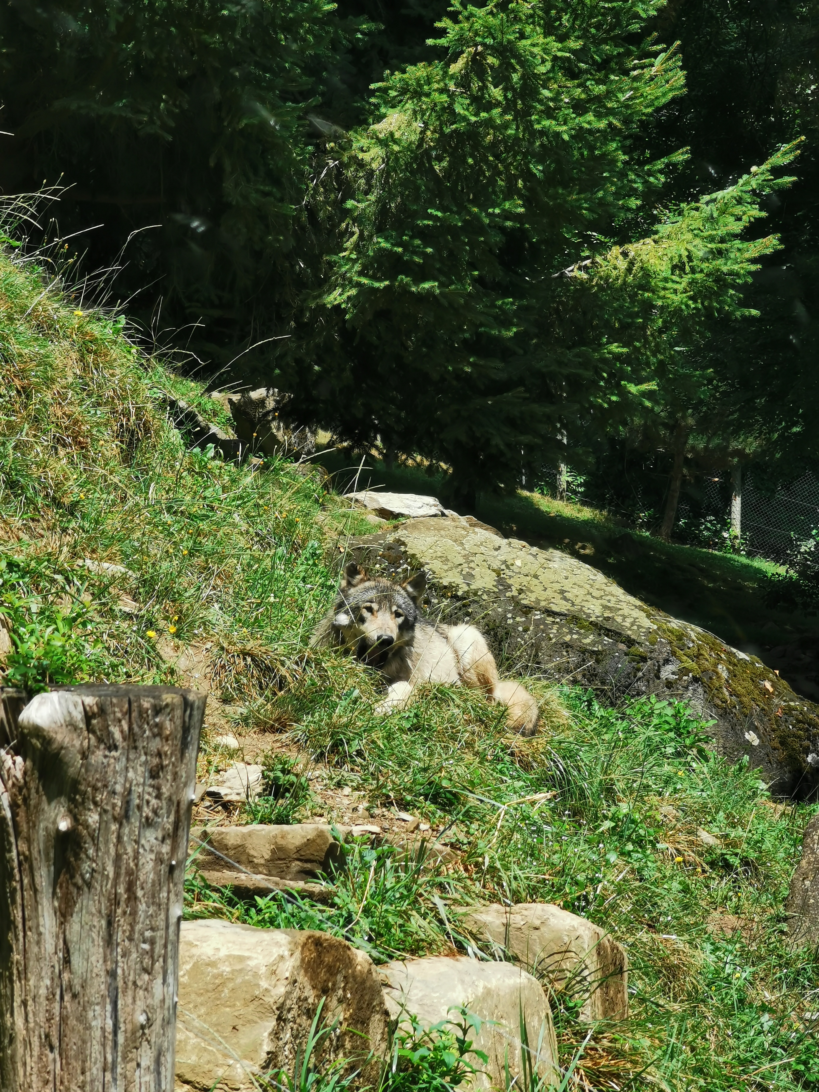 Photo n° 10 de l'avis de Axantiu. fait le 14/03/2021 à 10:18