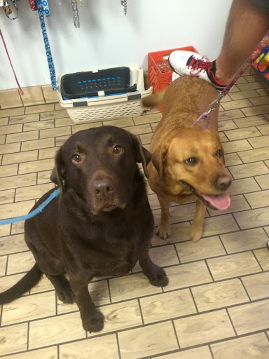 Pet Store «Pets of Portage», reviews and photos, 2219 W Wisconsin St, Portage, WI 53901, USA