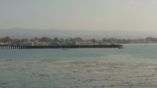 Coffee Shop «Santa Cruz Coffee Roasting Co.», reviews and photos, 1330 Pacific Ave, Santa Cruz, CA 95060, USA