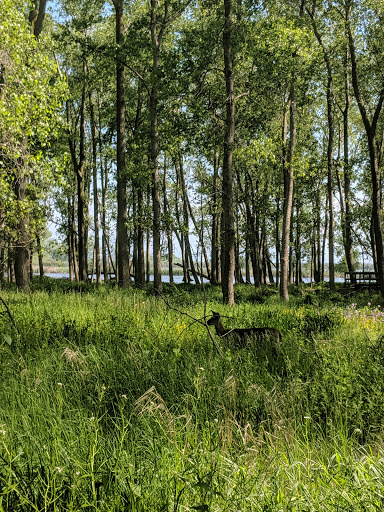 Nature Preserve «Times Beach Nature Preserve», reviews and photos, Coast Guard Station S Rd, Buffalo, NY 14203, USA