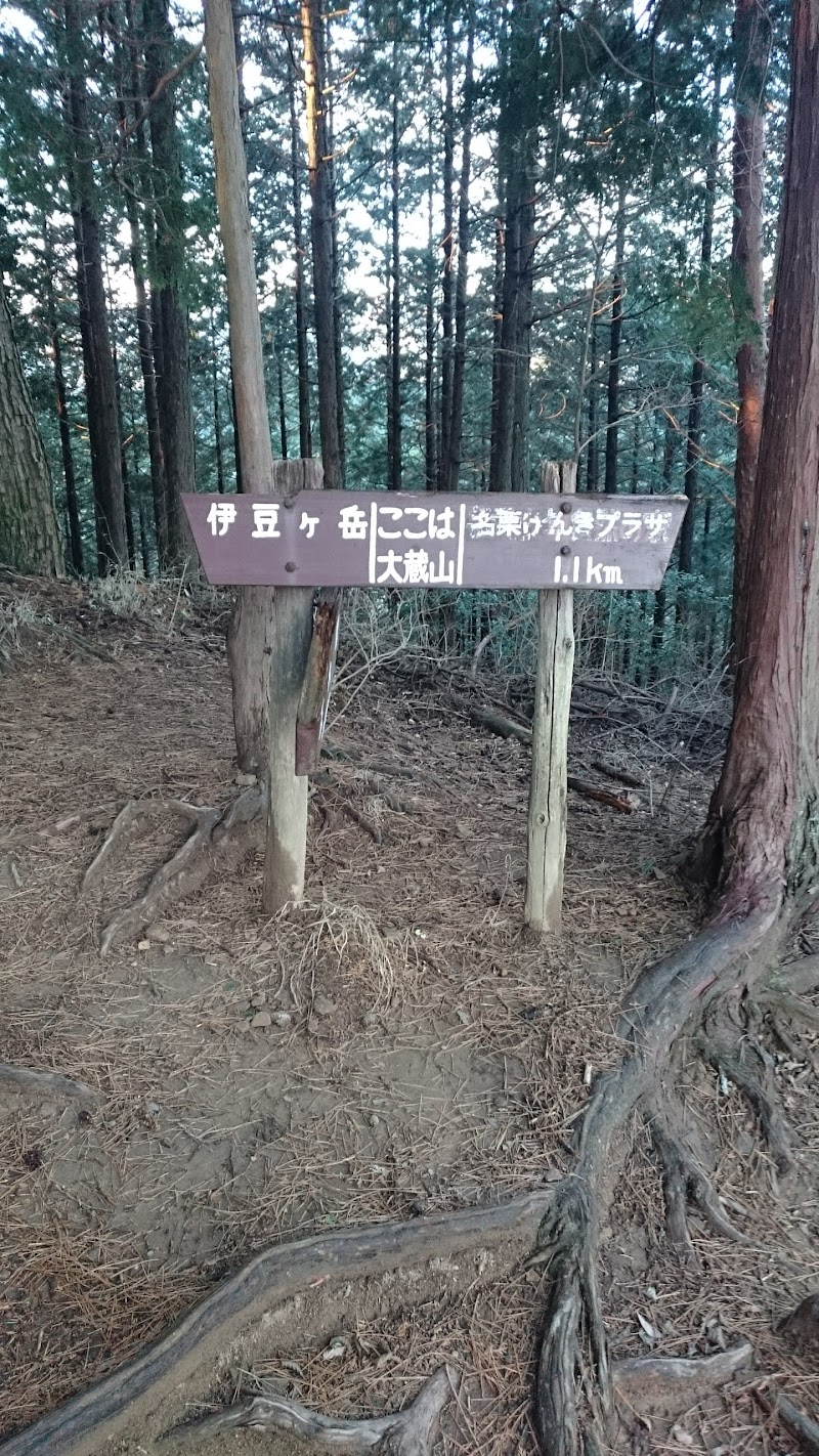 大蔵山 埼玉県飯能市 ハイキング コース グルコミ