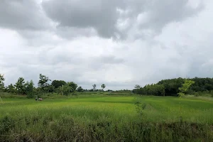 Kirin Farm Kalasin image