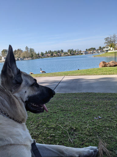 Park «Mike Ward Community Park Woodbridge», reviews and photos, 20 Lake Rd, Irvine, CA 92604, USA