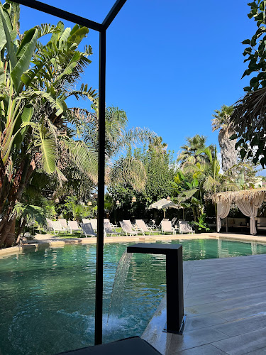 Σχόλια και κριτικές για το FoRest | The Tropic Valley