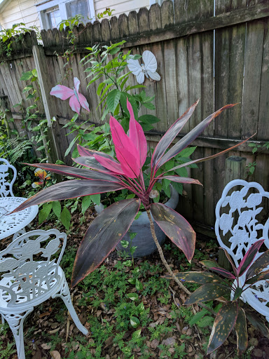 Winery «Tarpon Springs Castle Winery», reviews and photos, 320 E Tarpon Ave, Tarpon Springs, FL 34689, USA