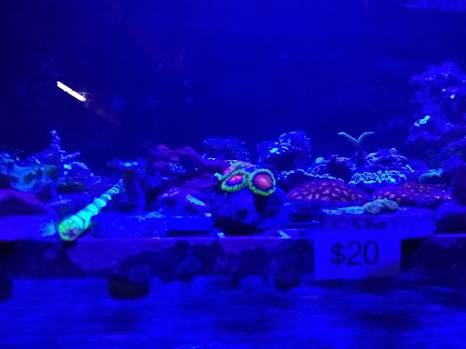 Pet Store «Pet World Ltd», reviews and photos, 14501 Warwick Blvd, Newport News, VA 23608, USA