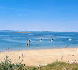 Plage de Marescle'in fotoğrafı vahşi alan