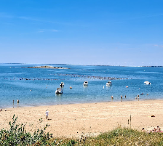 Plage de Marescle