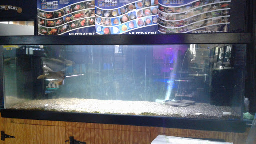 Pet Store «Oceans Of Pets», reviews and photos, 1794 Diamond Hill Road, Woonsocket, RI 02895, USA