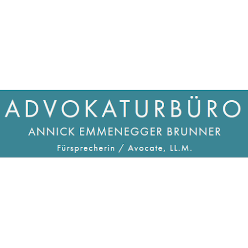 Rezensionen über Emmenegger Brunner Annick in Bern - Anwalt