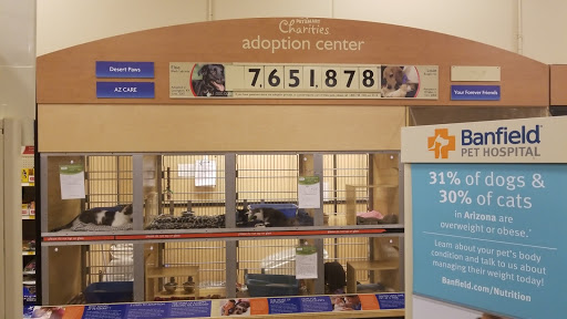 Pet Supply Store «PetSmart», reviews and photos, 21032 S Ellsworth Loop, Queen Creek, AZ 85142, USA