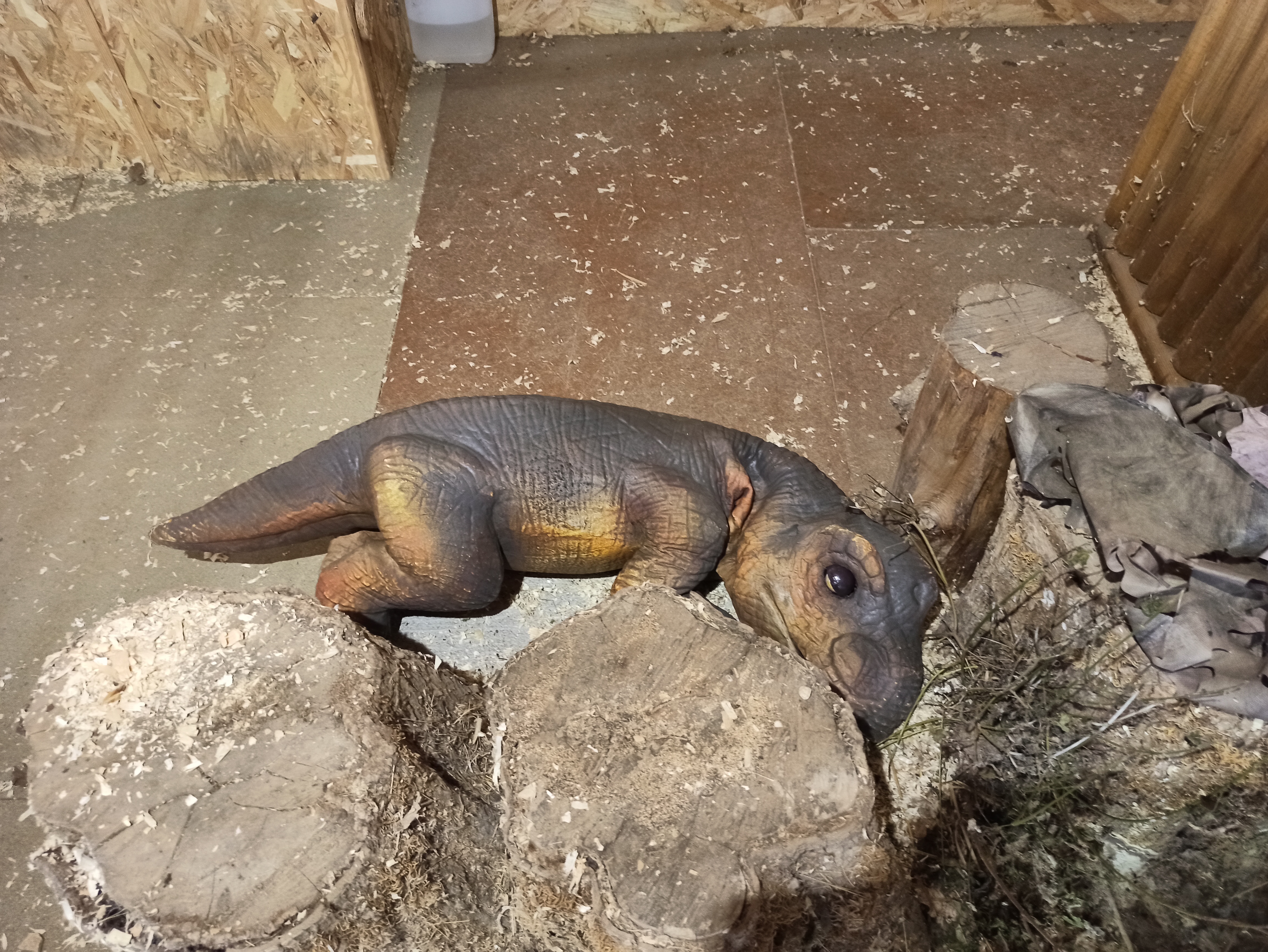 Photo n° 2 de l'avis de Virginie.a fait le 04/08/2022 à 05:01