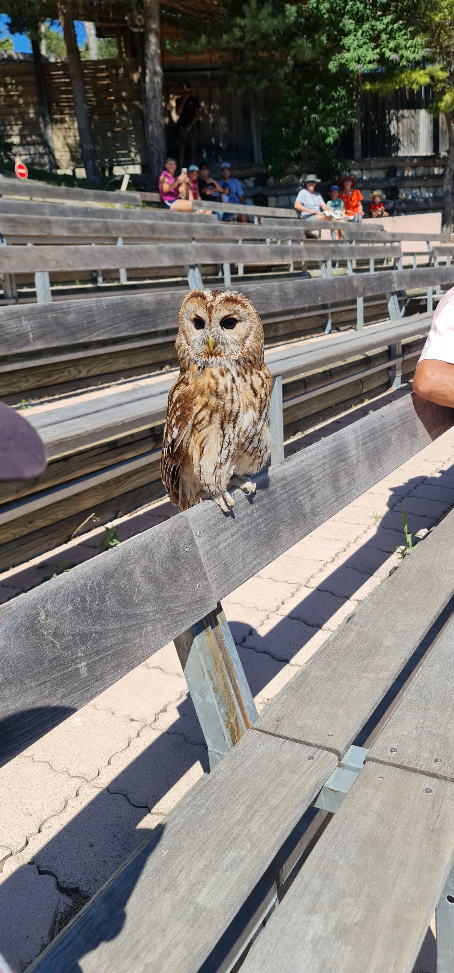 Photo n° 9 de l'avis de Julie.a fait le 03/08/2019 à 12:47