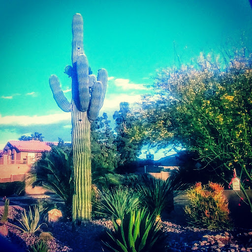 Park «Lookout Mountain Preserve», reviews and photos, 15800 N 16th St, Phoenix, AZ 85022, USA