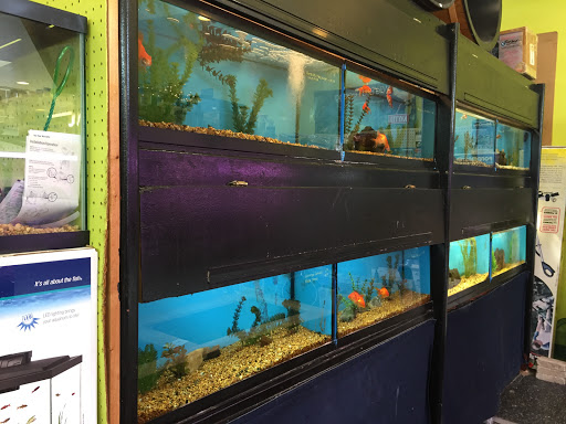 Pet Supply Store «City Pets & Ponds», reviews and photos, 4029 Mill St, Kansas City, MO 64111, USA