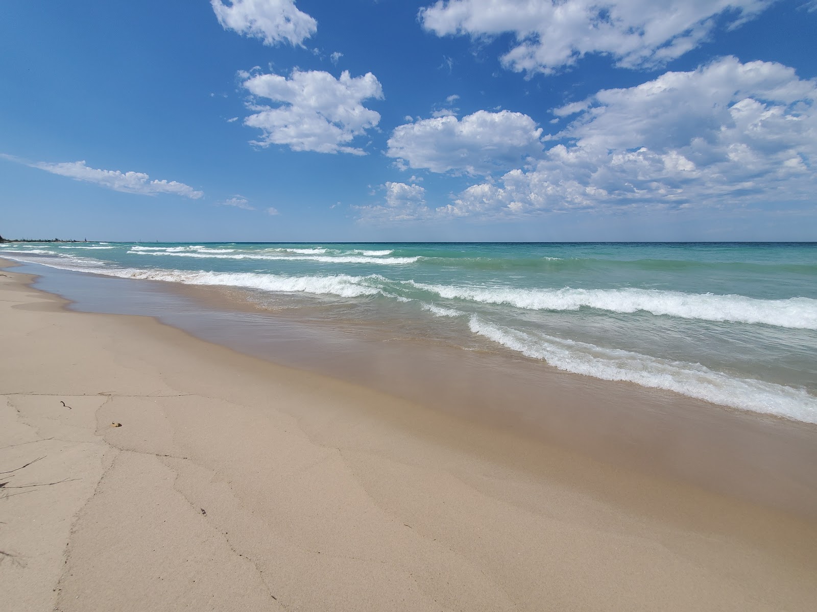 Arcadia Beach'in fotoğrafı - rahatlamayı sevenler arasında popüler bir yer