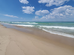 Arcadia Beach'in fotoğrafı - rahatlamayı sevenler arasında popüler bir yer