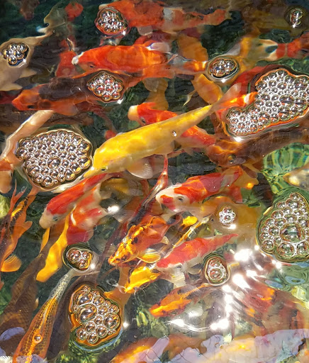 Pet Supply Store «Concord Feed Pet & Livestock Supplies», reviews and photos, 228 Hookston Rd, Pleasant Hill, CA 94523, USA