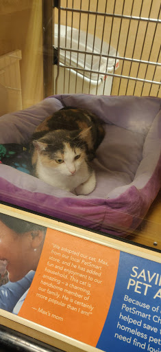 Pet Supply Store «PetSmart», reviews and photos, 104 TX-332, Lake Jackson, TX 77566, USA