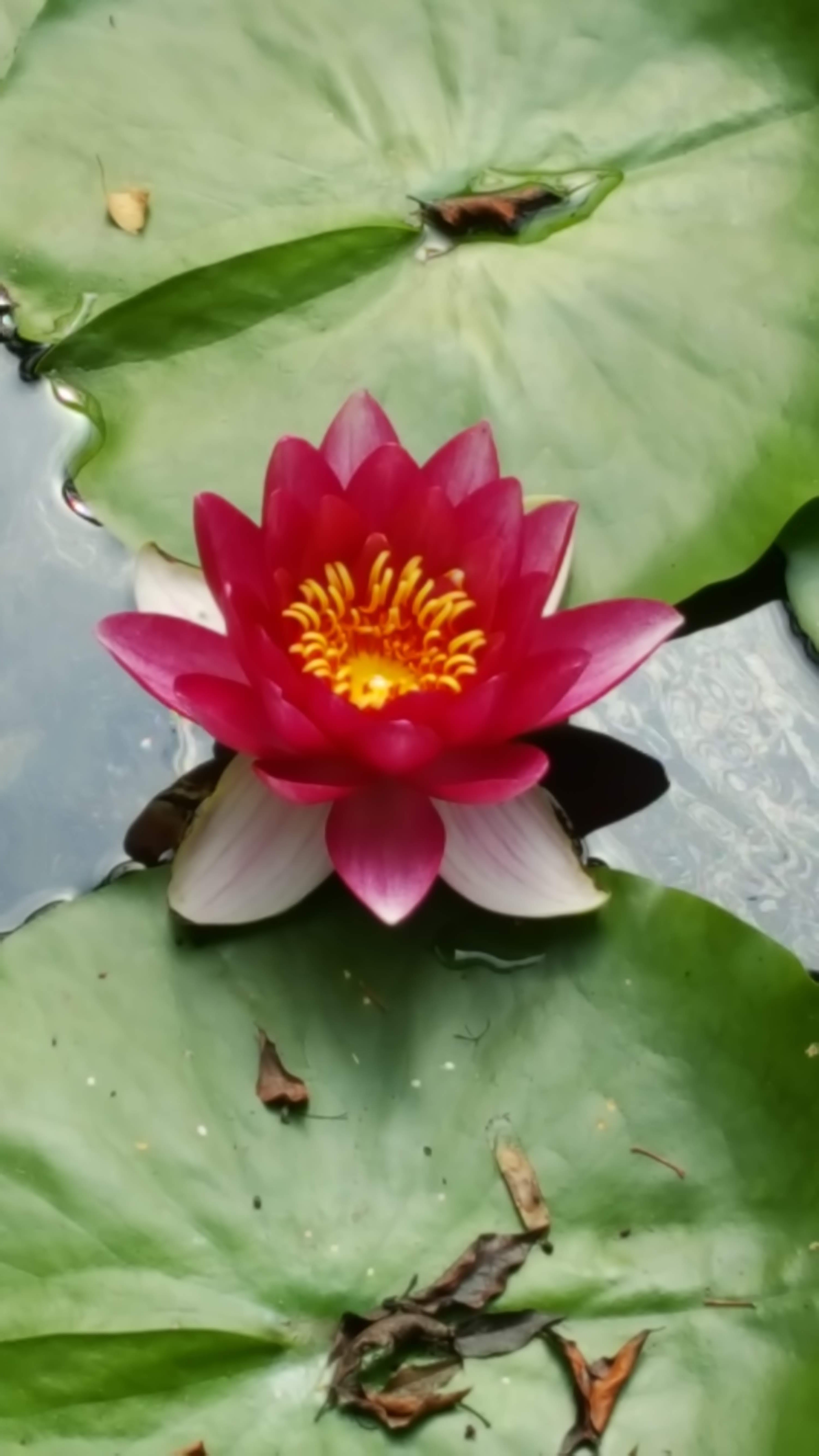 Photo n° 2 de l'avis de cathy.o fait le 15/07/2018 à 12:43