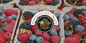 Pearson's Soft Fruits