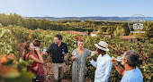 Azur Wine Tours - Vidivino Vence