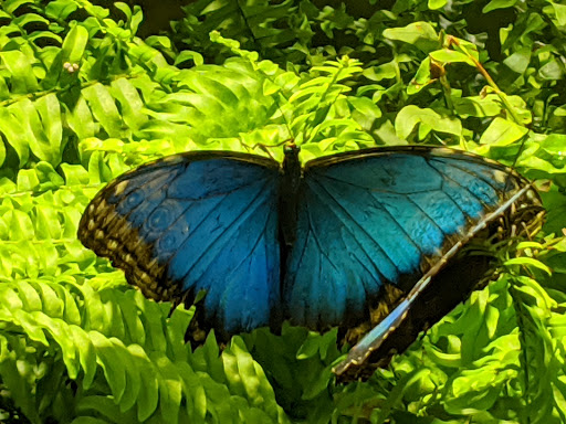 Science Museum «ECHO, Leahy Center for Lake Champlain», reviews and photos, 1 College St, Burlington, VT 05401, USA