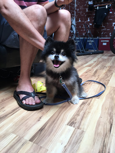 Bicycle Store «Durham Cycles», reviews and photos, 756 9th St, Durham, NC 27705, USA