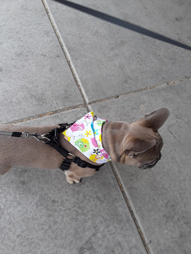 Pet Supply Store «Pet Supplies Plus», reviews and photos, 2840 Countryside Dr, Turlock, CA 95380, USA